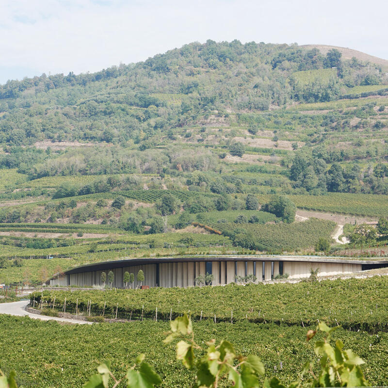VINO, ARCHITETTURA E DESIGN: LE CANTINE D&rsquo;AUTORE TRA IL LAGO DI GARDA E IL VERONESE