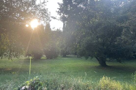 terreno edificabile Verona MA3145